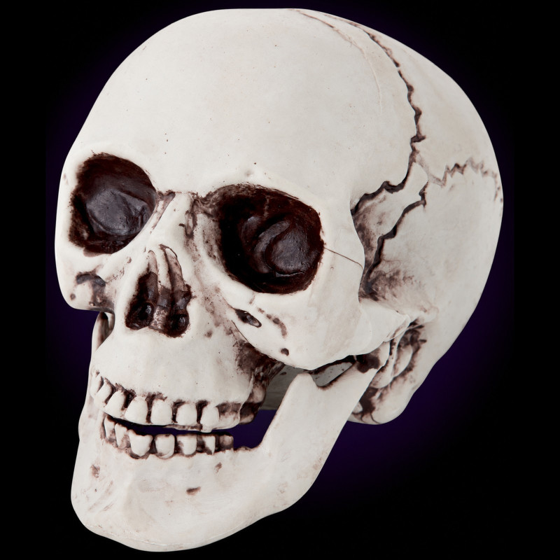 Crâne tête de mort décoratif 21 cm