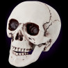 Crâne tête de mort décoratif 21 cm